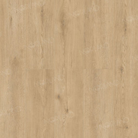 Dor 1001-3