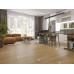 SPC-Ламинат Alpine Floor Клен классический ECO 173-6 MC