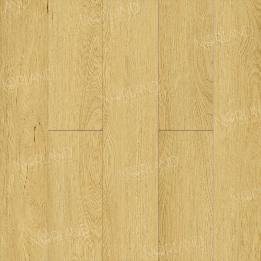 Ламинат Alpine Floor Дуб Элмер LF302-08