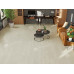 LVT-Плитка Alpine Floor Эвкалипт ECO 11-102