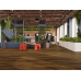 LVT плитка Дуб Натуральный Изысканный ECO 23-4
