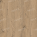 Alida 1022-6