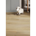SPC-Ламинат FirstFloor Бежевый старый дуб 1F012