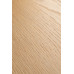 SPC-Ламинат FirstFloor Отборный красный дуб 1F051