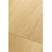 Ламинат FirstFloor Дуб Веритэ 1F312