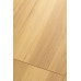 Ламинат FirstFloor Дуб Кэндор 1F314