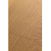 Ламинат FirstFloor Дуб Джусто 1F316