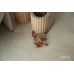 LVT-Плитка VINILAM Тихая Бухта 71612 Glue